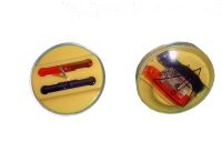 Farbetiketten Yopaint gelb 38mm